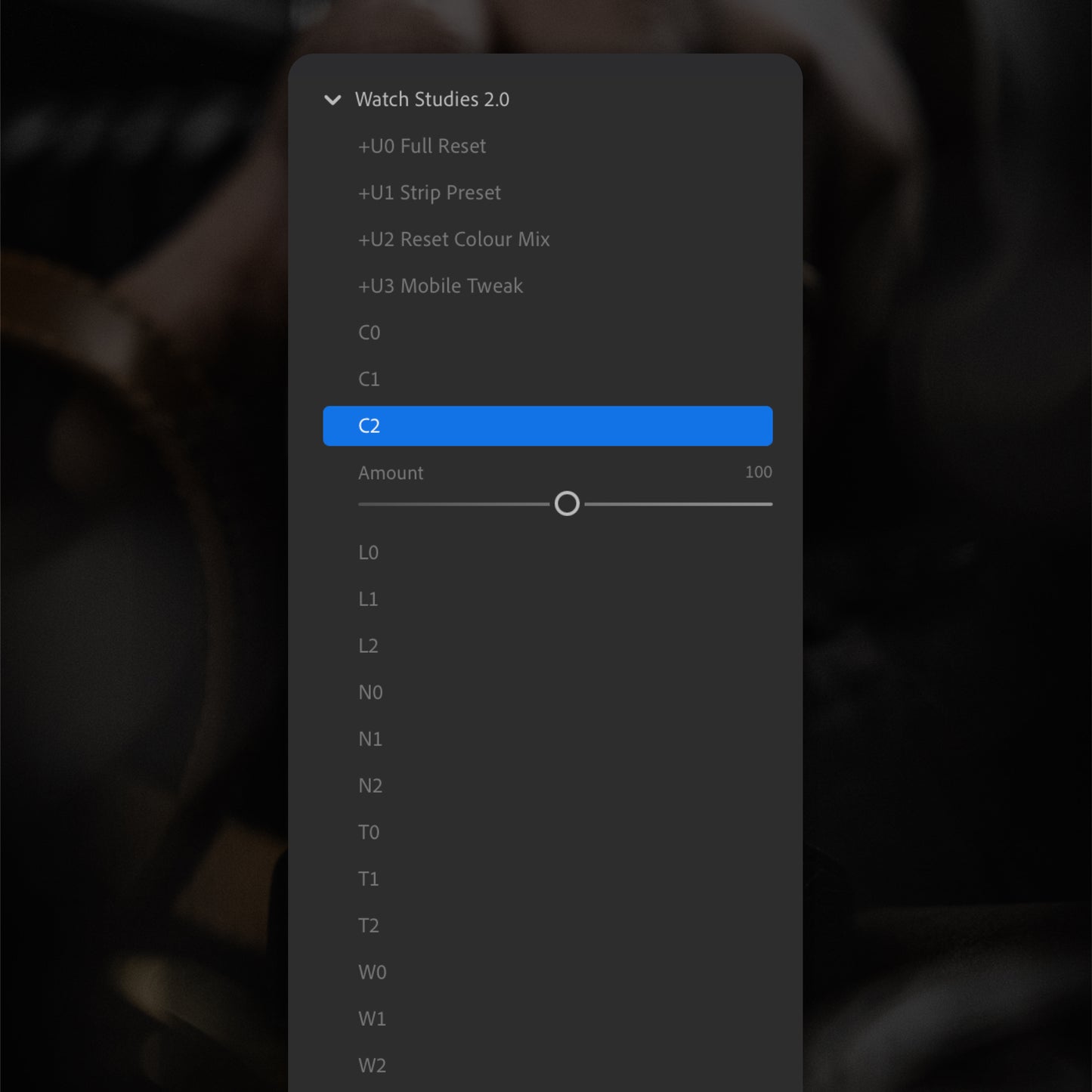 Adobe Lightroom Presets for Watch Photography